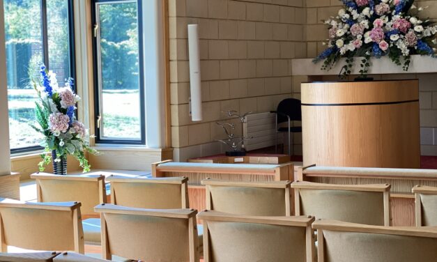 Coping with Grief After the Loss of a Sibling: Practical Ways to Navigate the Pain